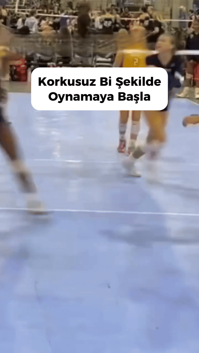 0122.gif__PID:3688f7f2-2dd0-4bde-afe5-be4c01291638